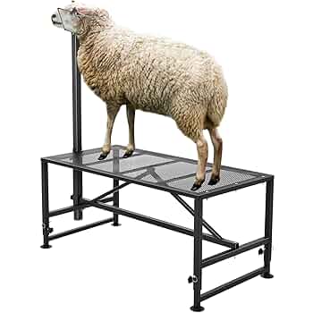 トップス sheep Tops/トップス – SHEEP